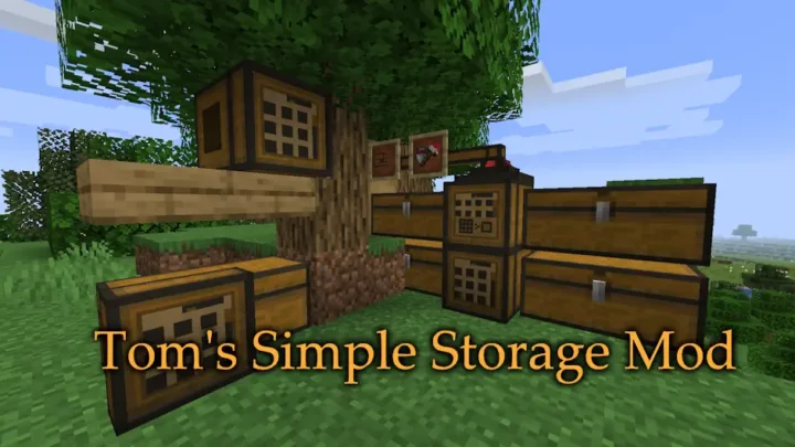 Toms Simple Storage Mod