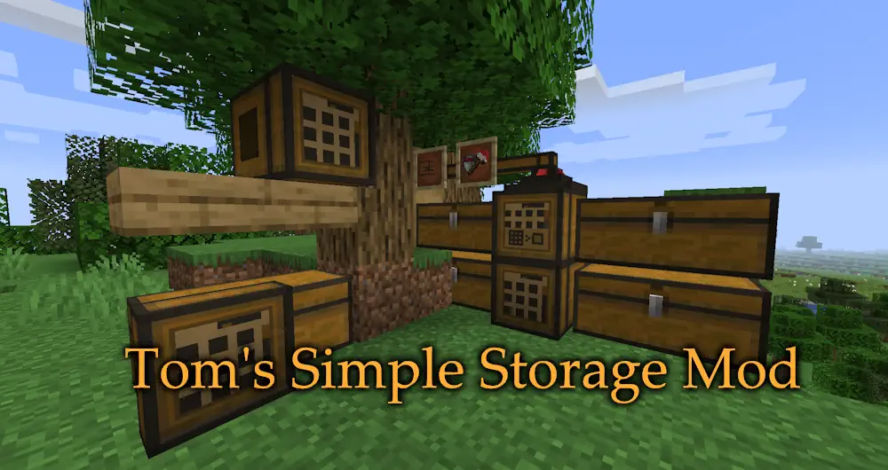 Toms Simple Storage Mod