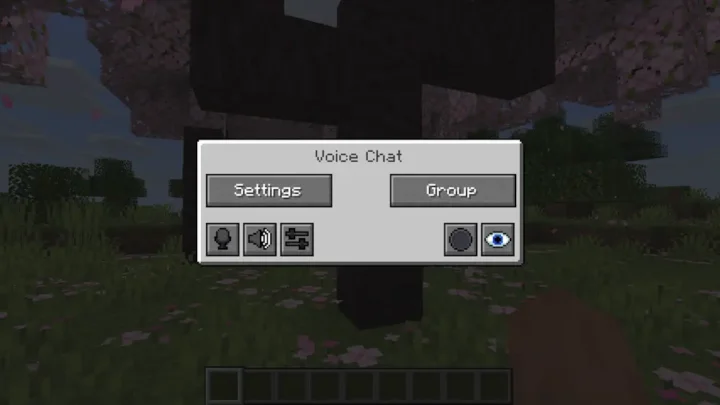 Voice Chat Group